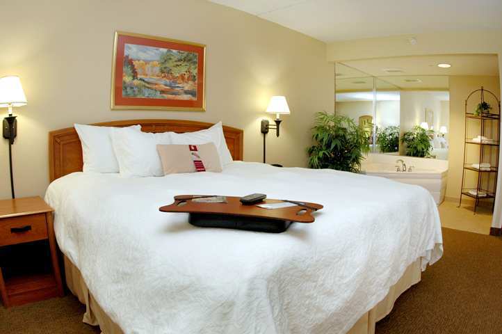 Hampton Inn Muskegon Muskegon Heights Номер фото